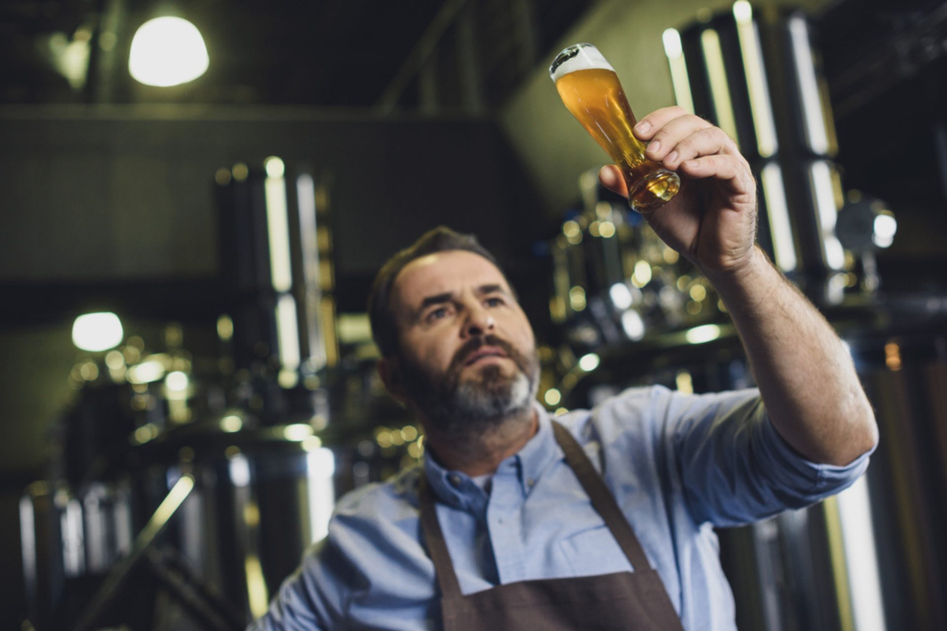 start-a-brewery