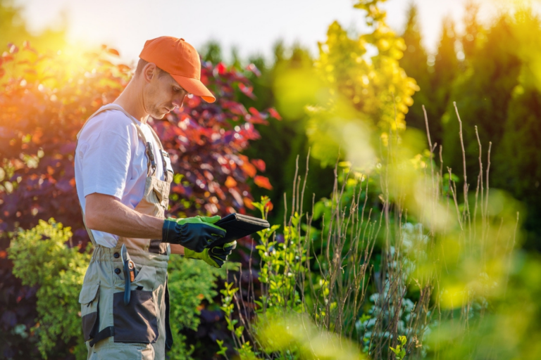 how-to-start-a-landscaping-business-7-tips-to-success